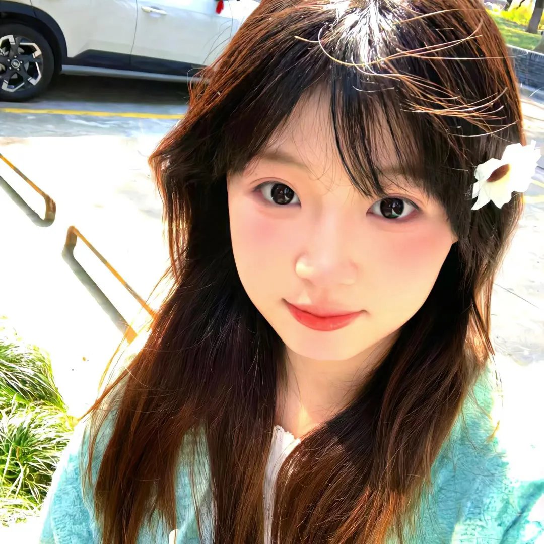 挚爱极地